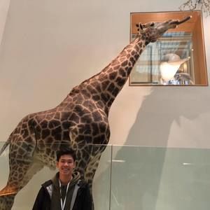 Meet your Posher, Jeffrey